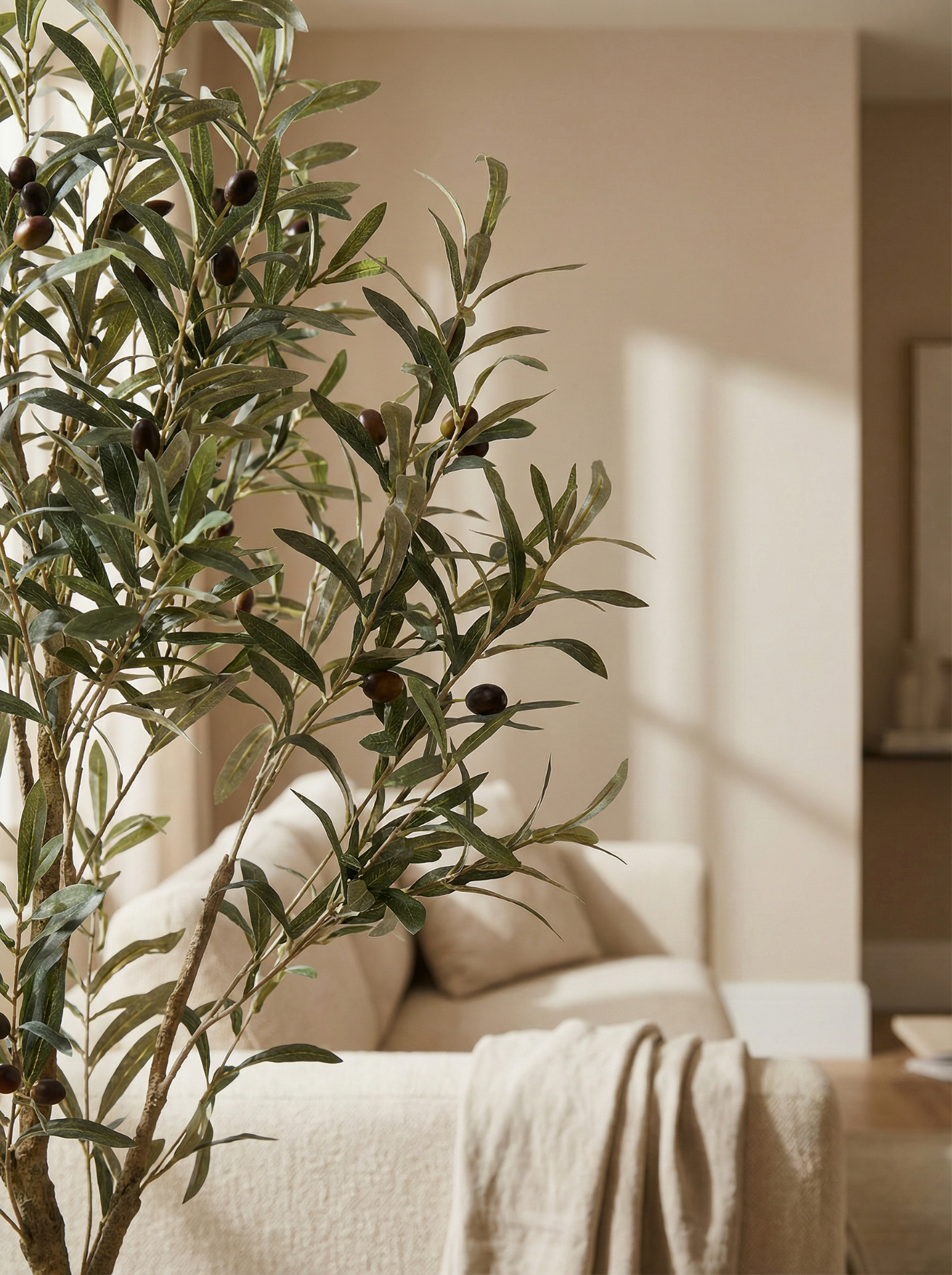 Olive tree interior setting